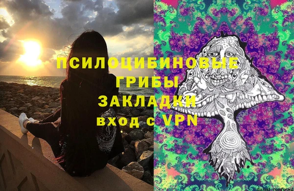 альфа пвп Медвежьегорск