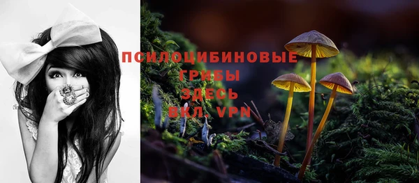 а пвп мука Медногорск
