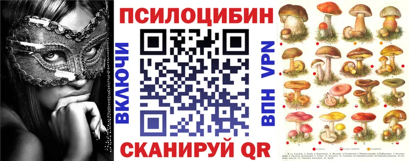 Галлюциногенные грибы Psilocybe Шилка